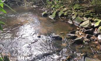 Imagem 2: Vendo chácara 2 hectares com riacho