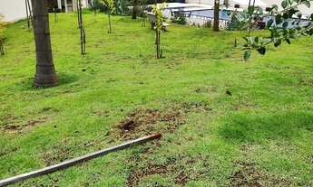 Imagem 4: Apartamento Recreio das Acácias