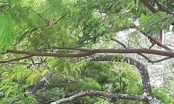 Imagem 5: Casa para venda tem 220 metros quadrados com 4 quartos em Centro - Rio das Ostras - RJ