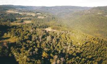 Imagem 6: Sitio - Bairro Carazal