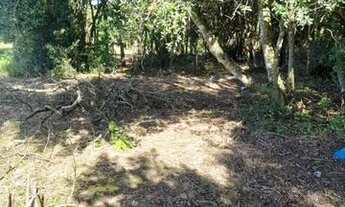 Imagem 4: Terreno com acesso a lagoa