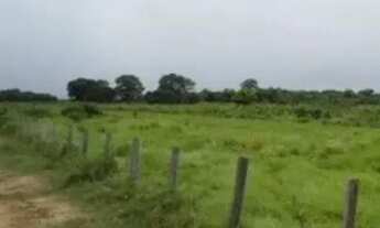 Imagem 4: Fazenda para Venda em Setor Central Santa Rita do Tocantins-TO - 3027