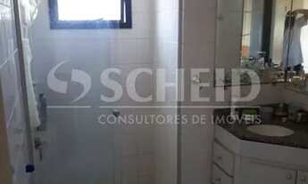 Imagem 7: Ótimo apartamento, excelente localização, com armários embutidos