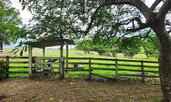 Imagem 5: Chácara para Venda em Alfredo Marcondes, CHÁCARA ALFREDO MARCONDES