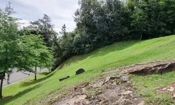 Imagem 5: Terreno em Condominio - Bairro Alphaville