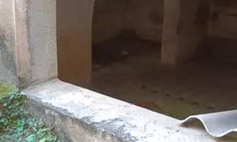 Imagem 6: Bom para investir - sobrado em vila