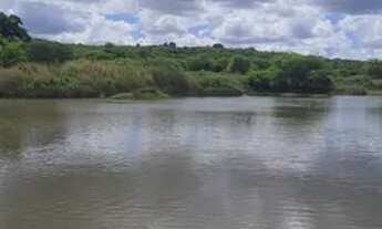 Imagem 2: Fazenda/Sítio/Chácara para venda com 450 metros quadrados com 8 quartos