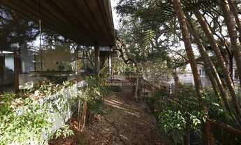 Imagem 6: Linda Casa Com 3 Dormitórios No Jardim Guedala. Um Achado! O Oásis Para Você Chamar De Seu