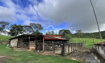 Imagem: Fazenda 31,5 alqueires (153 hectares) em