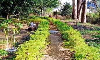 Imagem 2: PLL......RV4256 Localizado no bairro São Pedro, em rua tranquila, próximo de todo comércio