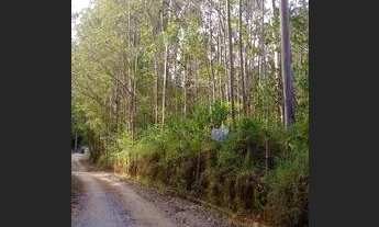 Imagem 4: Terreno para Venda em Nova Friburgo, BRAUNES
