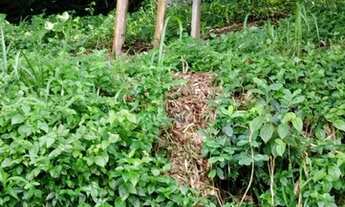 Imagem 4: 9 Apartamentos para construir com projeto aprovado em Balneário Camboriú