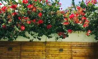 Imagem 4: Linda casa em Itapevi, aceita permuta por apartamento