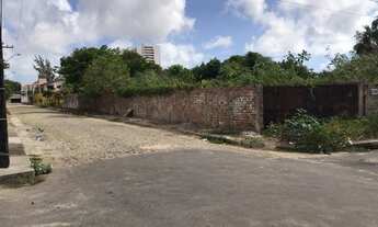 Imagem 7: Excelente Terreno com 4.092m2 de área!! 3 frentes, nascente