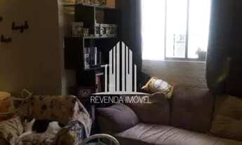 Imagem 5: Apartamento Vila São José Zona Sul