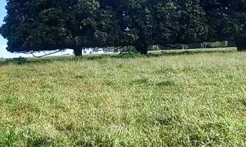 Imagem: 2,5 Alqueires as margens da GO-070 próximo