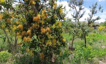 Imagem 6: Lote 1.000 m², plano em condomínio fechado, Jaboticatubas