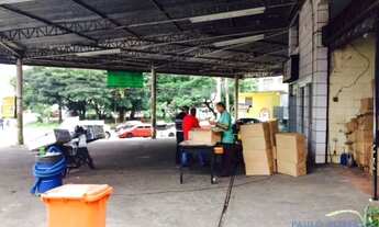 Imagem 5: TERRENO - BUTANTÃ - SP