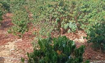 Imagem 2: Sitio Com Preco de Chácara!!!30 Minutos montes claros-Permuta Por Imovel Urbano