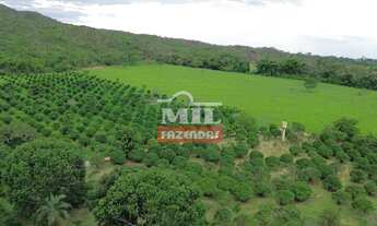 Imagem 2: Chácara 8 alqueires ( 38,72 hectares ) Aparecida de Goiânia - GO