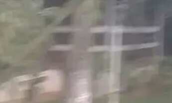 Imagem 4: CHÁCARA PARA VENDER COM 3 DORMITÓRIOS EM CAÇAPAVA