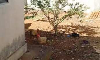 Imagem 4: Vendo casa com amplo ponto Comercia no morada em Anápolis