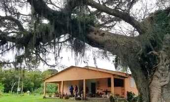 Imagem: Velleda oferece Magnífico sítio 10 hectares