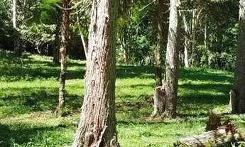 Imagem 6: Terreno Comercial para Venda em Nova Friburgo, Mury, 1 dormitório, 1 banheiro, 3 vagas