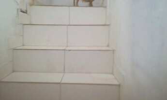 Imagem 4: Duas casas a menos de 200 metros da Avenida Fraga Maia