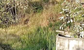 Imagem 5: Lote em caminho m - PRIMAVERA - São Pedro/SP