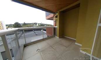 Imagem 5: Jequitiba à venda