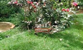 Imagem 5: Chácara 11 Alqueires (53,24 Hectares) Goias Velho - GO