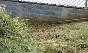 Imagem 6: Lote em Rua Corvina - Barreiro - Mairiporã/SP