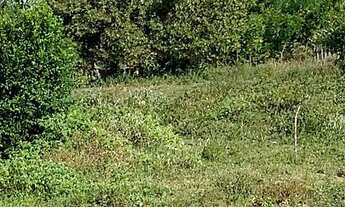 Imagem 2: VENDE-SE TERRENO EM AREIA BRANCA