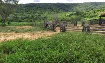 Imagem 6: FAZENDA RURAL em IBIQUERA - BA, CHAPADA DIAMANTINA