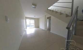 Imagem 3: Jequitiba à venda