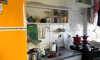 Imagem 6: Aluguel apartamento completo gás e água, 1° andar - serraria 2/4