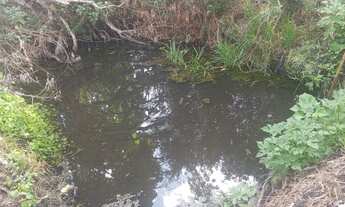 Imagem 3: Vende-se chácara para moradia - Parque Cruzeiro do Sul