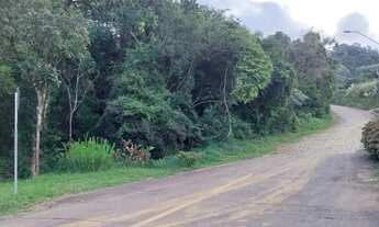 Imagem 2: CAXIAS DO SUL - Terreno Padrão - DESVIO RIZZO