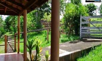 Imagem 3: Chácara em Anicuns, 4 Alqueires de Pura Beleza, Rica em Água, Pomar, Cozinha Caipira, top