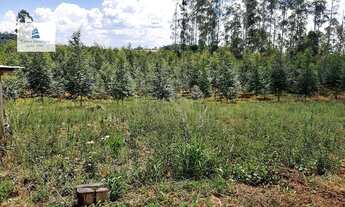 Imagem 7: Área Rural para Venda em ALTO DA SERRA Chapecó-SC