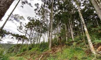 Imagem 4: Terreno Rural Urubici com cachoeira