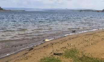 Imagem 7: Chacara/Sitio/Lote no Manso