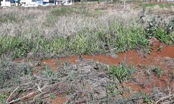 Imagem 3: Terreno Lote para Venda em Efapi Chapecó-SC