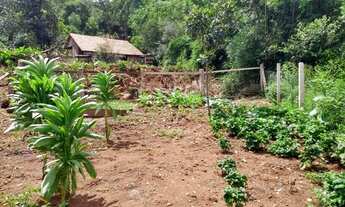 Imagem 7: Chacrinha 10.000,00m², casa mista 140.00m², mais de 100 pés de frutíferas