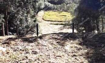 Imagem: Excelente chácara Sem Benfeitorias