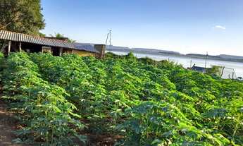 Imagem 2: Fazenda/Sítio/Chácara para venda possui 10000 metros quadrados com 4 quartos