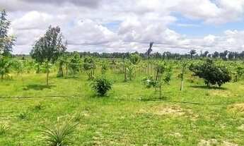 Imagem 3: Chácara a venda sentindo Humaitá