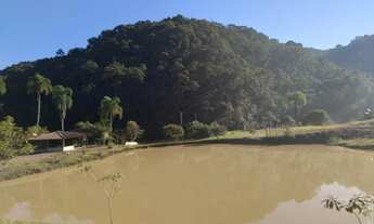 Imagem: Fazenda/Sítio/Chácara para venda tem 40500