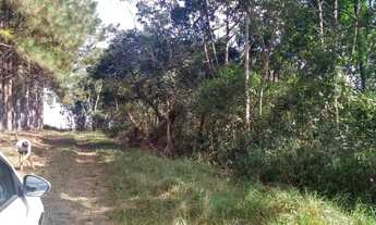 Imagem 6: Terreno de 4.000m² Vila Moraes